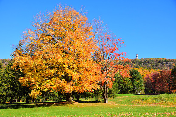 Heublein Tower in the Fall