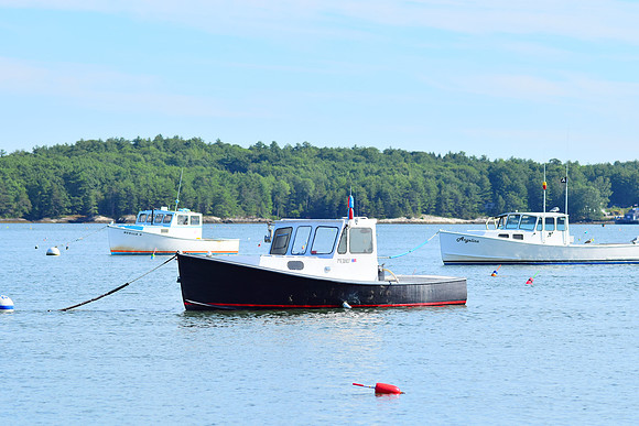 Boat on the river